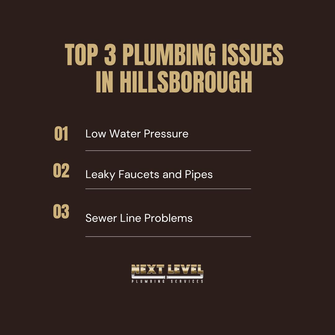 Top 3 Plumbing Issues in Hillsborough